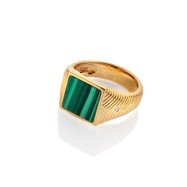 Hot Diamonds X Jac Jossa Silver and Gold Plated Revive Malachite Ring DR250