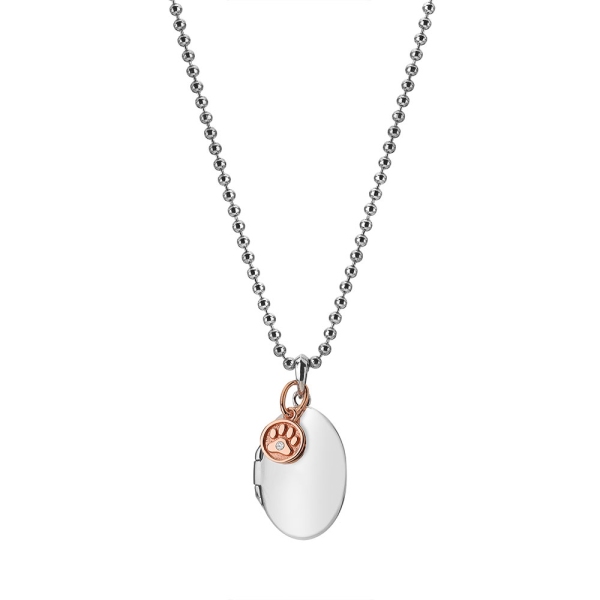 Hot Diamonds Silver and Rose Plated Dog Paw with Locket DP879