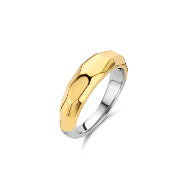 Ti Sento Silver with Gold Plated Faceted Band 12201SY