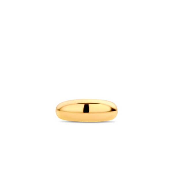 Ti Sento Silver/Yellow Gold Milano Ring 12172SY/56 